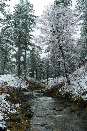 Water stream in the winter forest. Trees and shore covered in snow