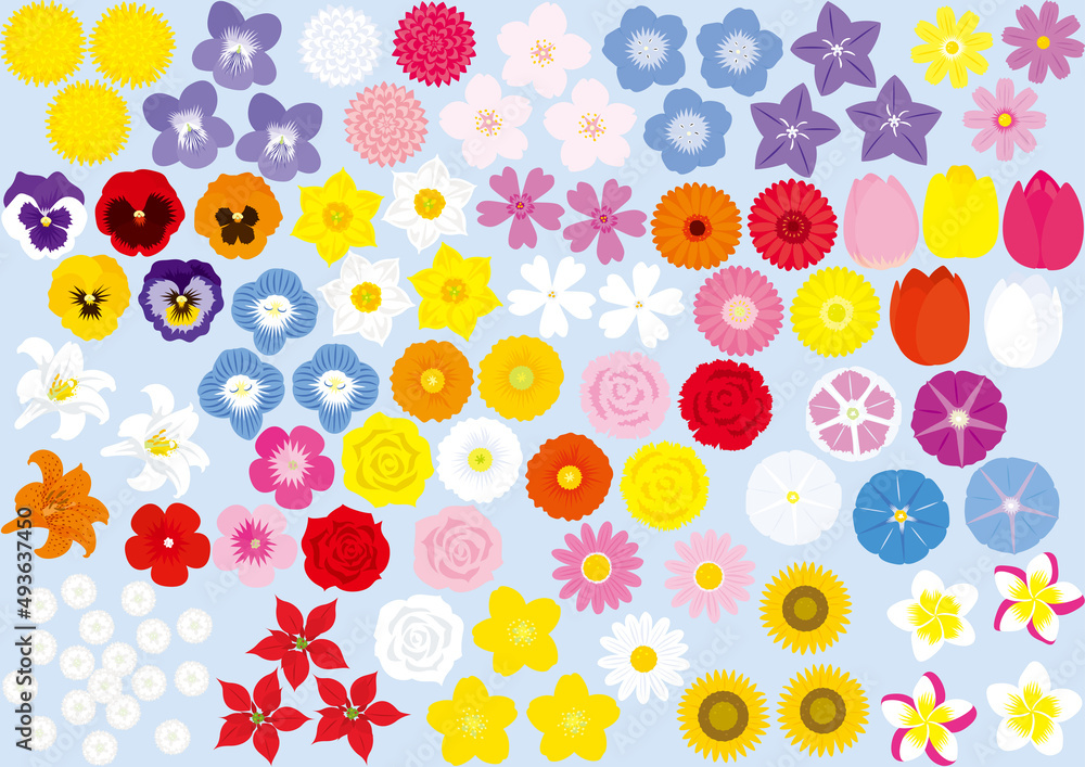 色とりどりのカラフルな花のイラストセット Stock ベクター Adobe Stock