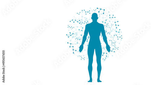 sistema immunitario, corpo umano, silhouette,	