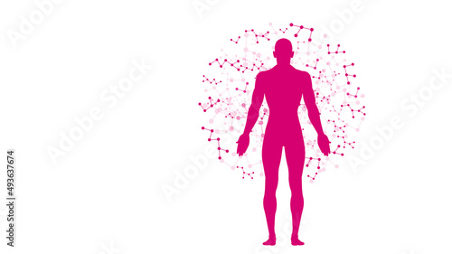 sistema immunitario, corpo umano, silhouette,	