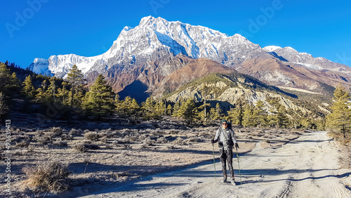 A man hiking in Manang valley from Humde Nepal. High Himalayan ranges around. There is dense forest on the side of the pathway. Snow capped peaks of Annapurna Chain in the back. Freedom and adventure