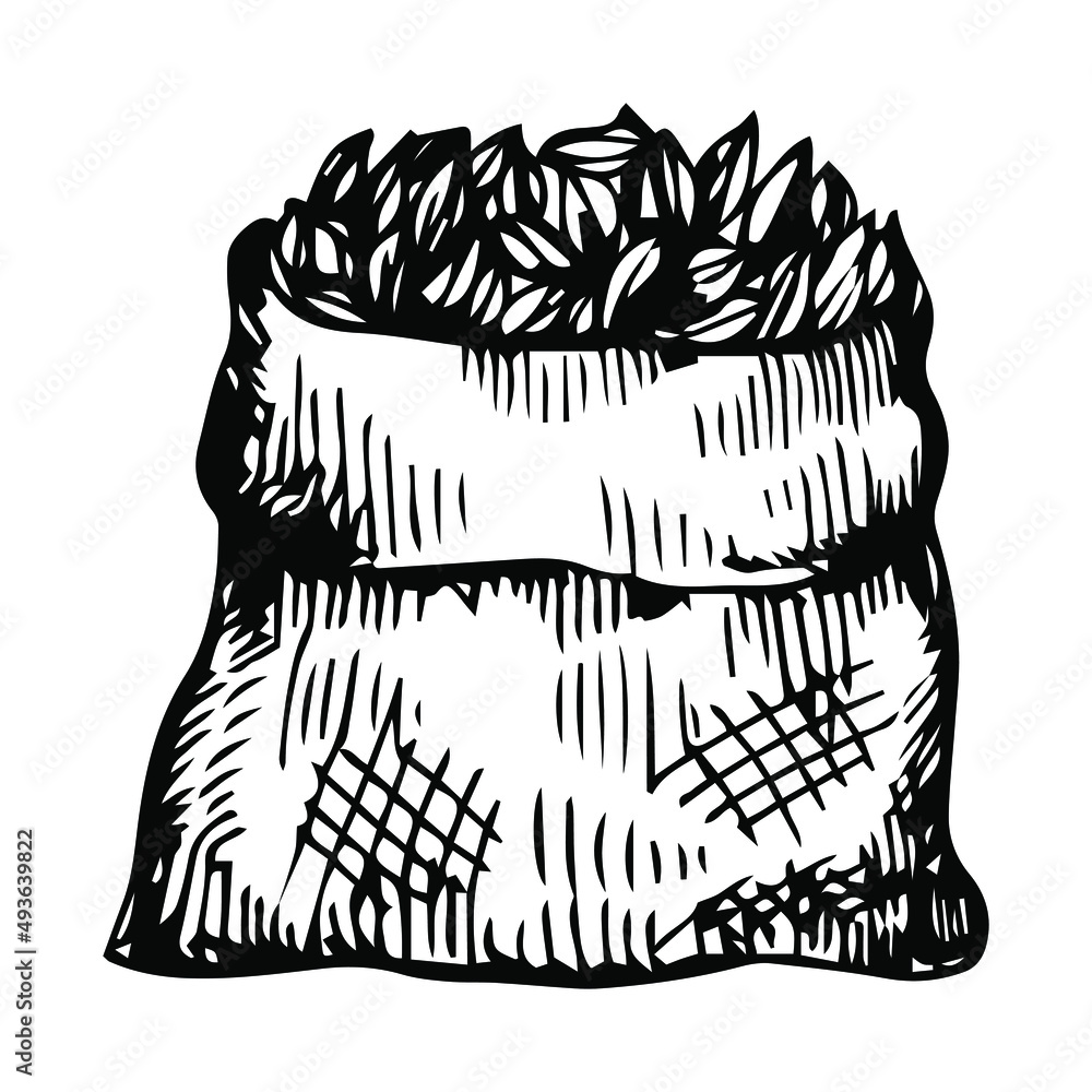bag of burlap with fresh wheat on white background vector illustration