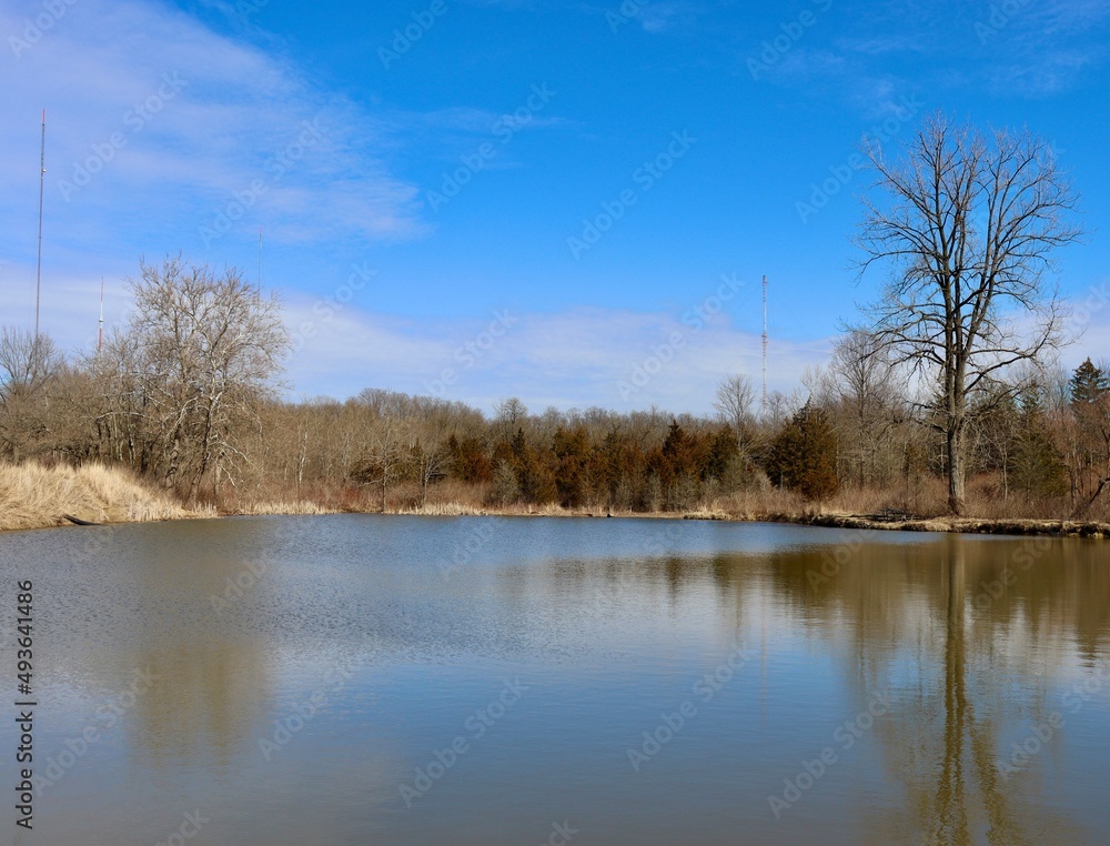 The peaceful pond in the country on a sunny day.