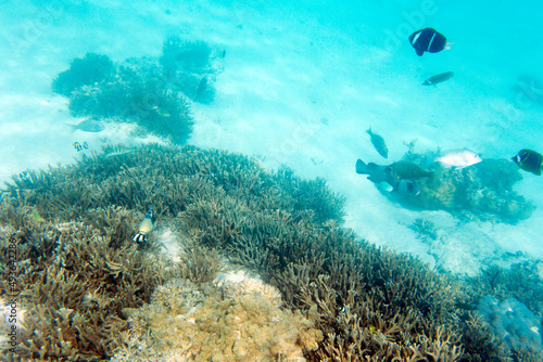 Photo of the lagoon