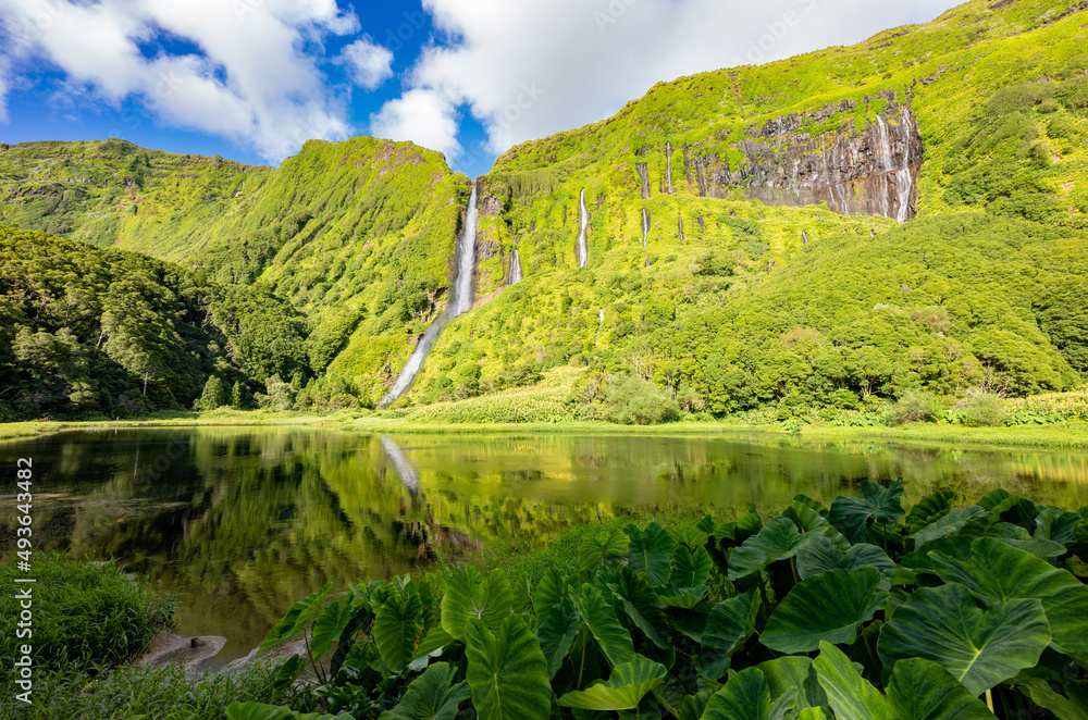 Poco da Ribeira do Ferreiro, Flores, Azores Islands. Waterfalls and landscape