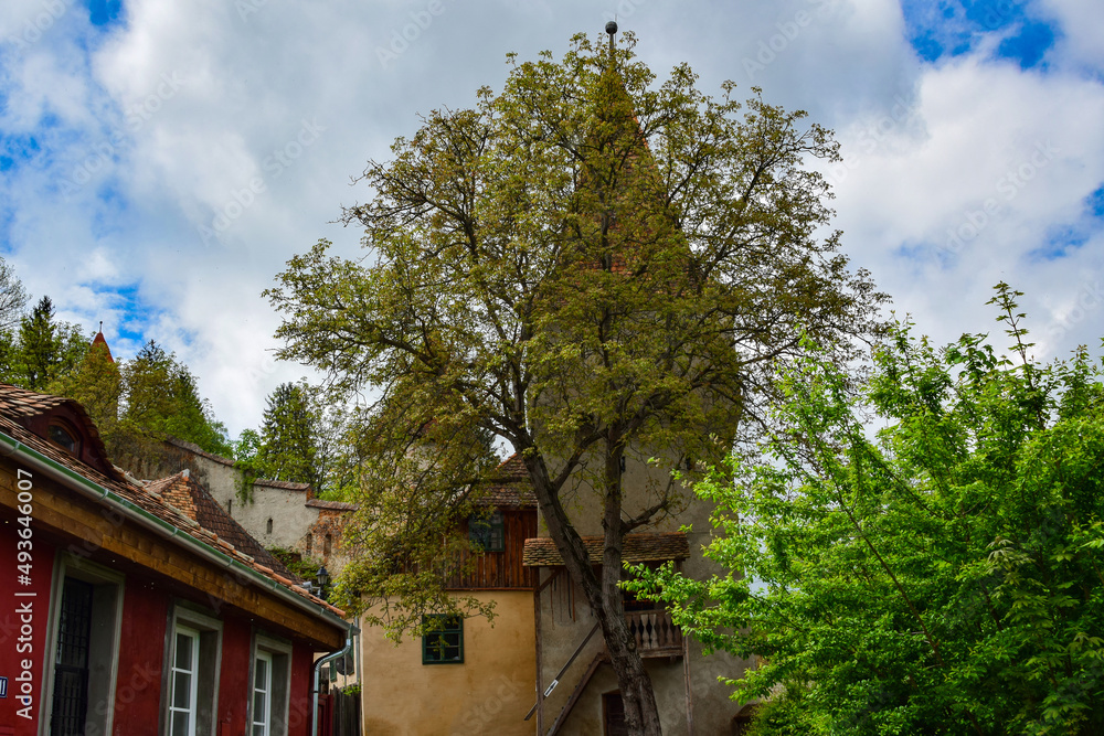 Defense tower of the medieval fortress of Sighisoara 90