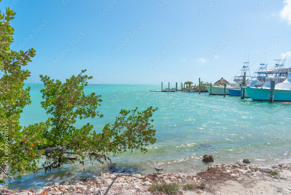 Small dock in the Florida Keys on a sunny day