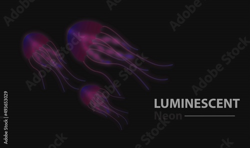 A glowing jellyfish of purple-pink color on a dark background with an inscription.Animal theme,jellyfish in the ocean,neon jellyfish,background,banner,poster.