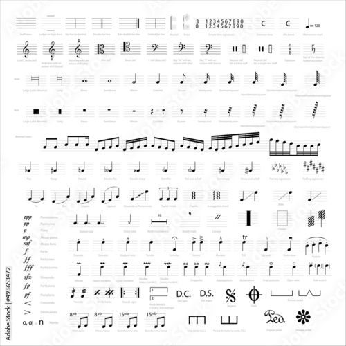 Collection of musical symbols and notes. Musical notation.