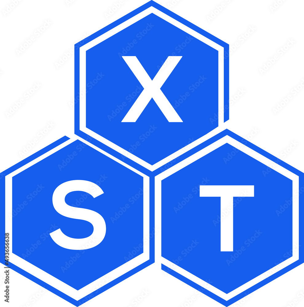 Obraz premium XST letter logo design on White background. XST creative initials letter logo concept. XST letter design. 