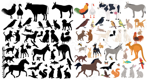 pets set flat design, isolated, vector