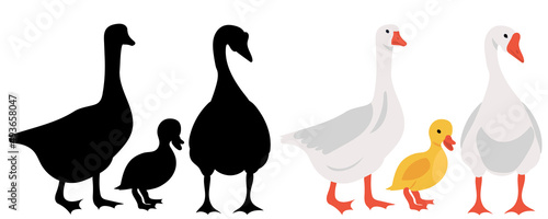 geese and gosling flat design, isolated, vector