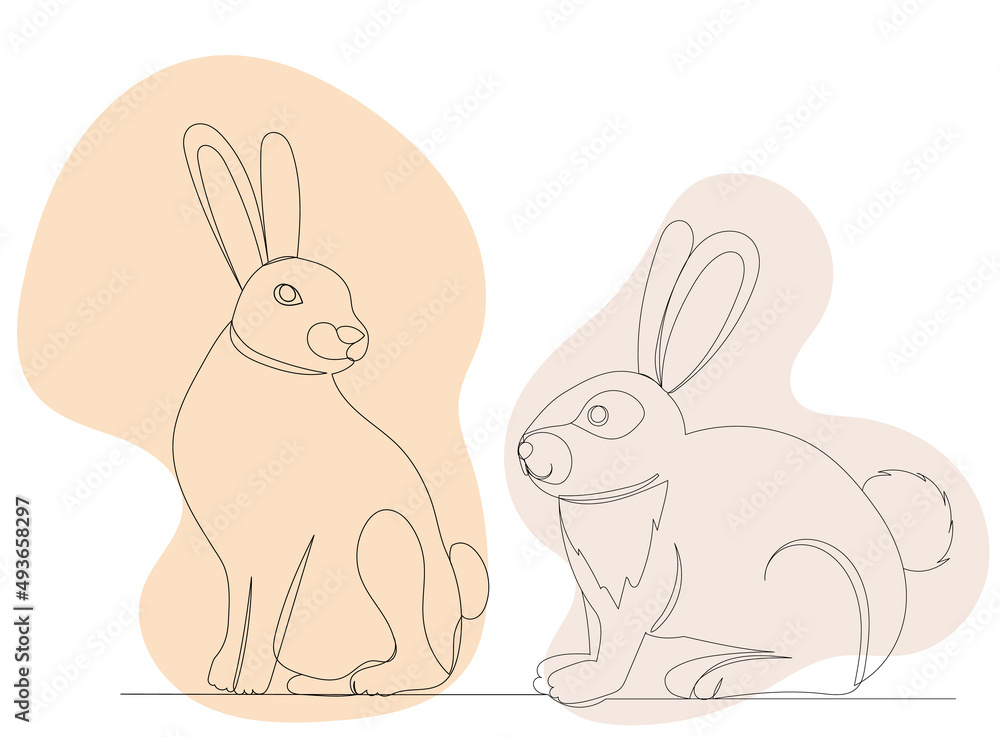 Obraz premium hare, rabbit one line drawing