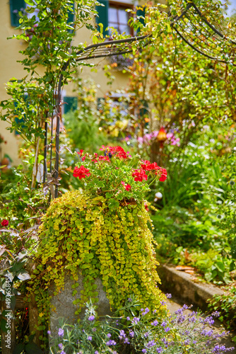 Beautifully maintained farmhouse garden with colorful flowers  in Bavaria  Southern Germany.