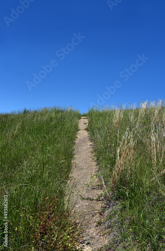 Path to the Top of Hill