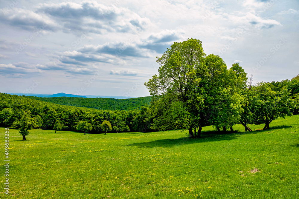 Obraz premium Green hills and cludy sky at spring