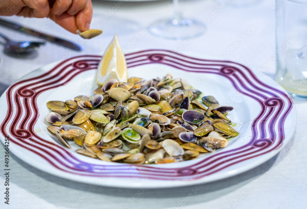 Dish with clams in parsley and lemon sauce. Dish with clams in parsley and lemon sauce.