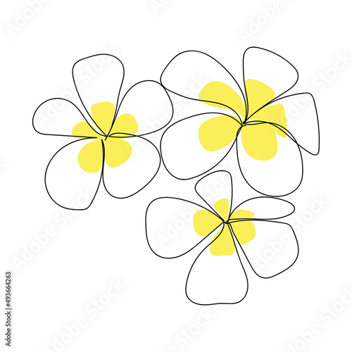 Plumeria flowers in the style of drawing a continuous line. Minimalism, black linear sketch on a white background. Vector illustration