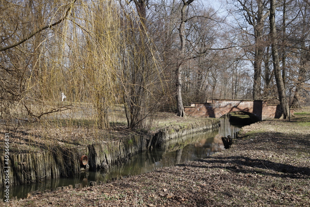 Park zimowy słoneczny dzień