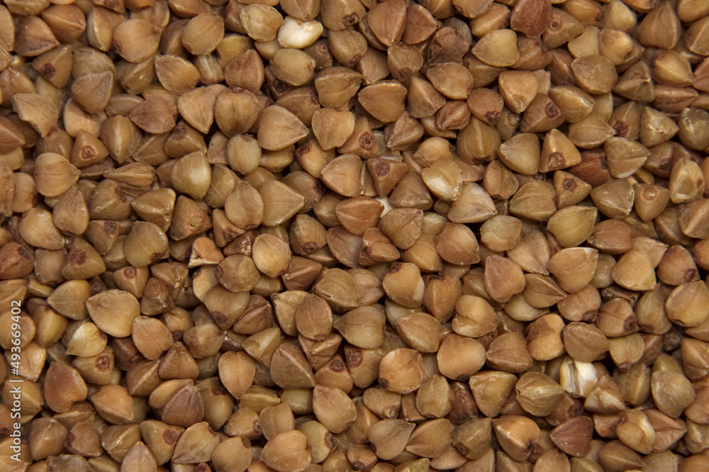 Buckwheat for the whole frame. Macro. Background. Buckwheat for the whole frame. Macro. Background.