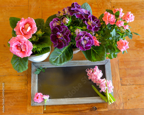 Rosa und lila Blumen mit einem weißen Herz  Gloxinien Blüten photo