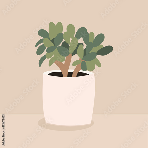 Crassula ovate, a houseplant in a clay pot. natural green home decor. A houseplant in a flower pot. Interior decoration of the office. Flat vector illustration isolated on beige background
