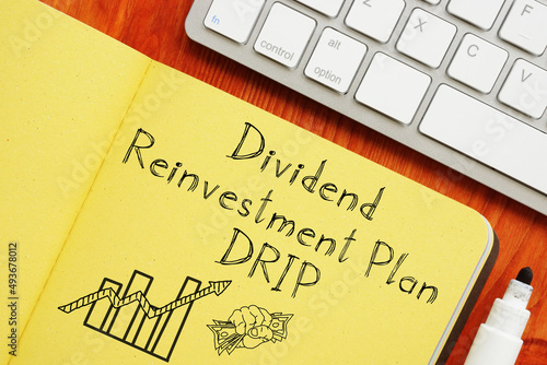 Dividend Rollover Plan is shown on the photo using the text photo