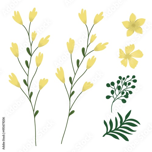 Yellow flowers and branches green. Set vector