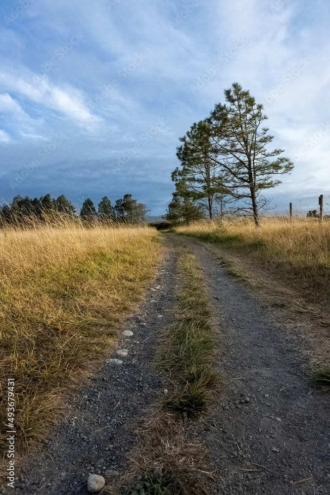 rural dirt road with grassy hills and clouds rural dirt road with grassy hills and clouds