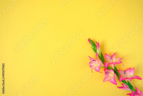 Lily flowers on yellow background. Spring concept. Copy space. Flat lay
