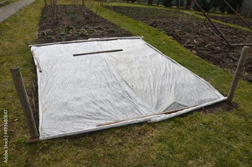 frost protection of vegetables. the gardener covered the white breathable foil bed. frost does not burn plants and water does not evaporate