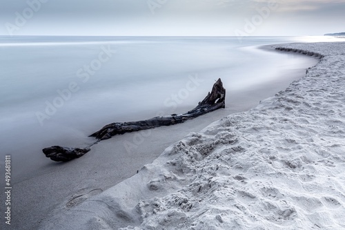 Fototapeta Naklejka Na Ścianę i Meble -  minimalistyczny pejzaż morski z plażą i starym drzewem
