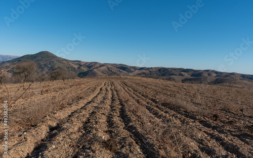 vineyard cultivation in the Sierra de la Contraviesa in the south of Spain