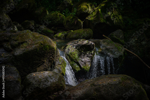 old stone in rain forest river