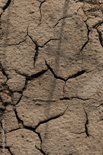 cracked earth background