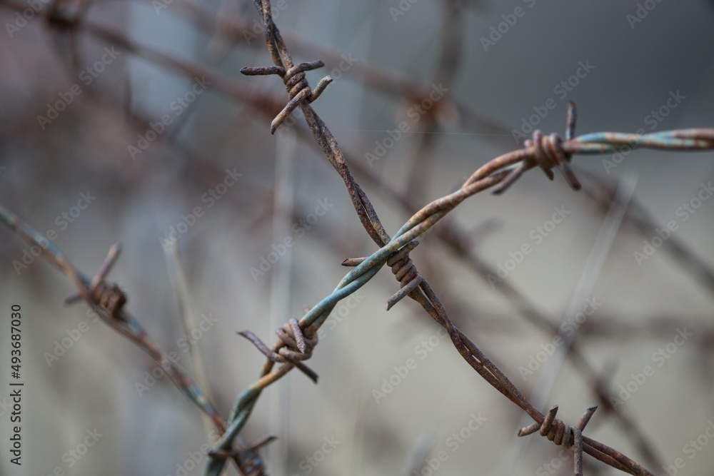 Barbed wire across the road, war zone Ukraine in the background Barbed wire across the road, war zone Ukraine in the background