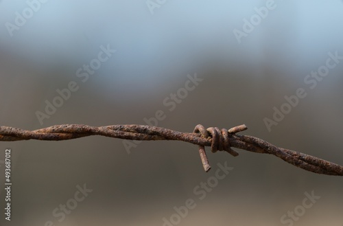 Canvastavla Barbed wire across the road, war zone Ukraine in the background