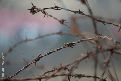 Barbed wire across the road, war zone Ukraine in the background photo
