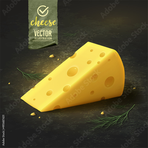 Piece of cheese on dark background