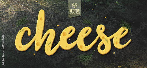 Piece of cheese on dark background