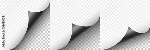 Black paper curl set. Element for advertising and promotion. Vector illustration