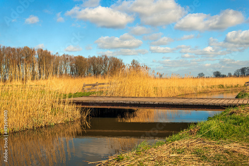 Simple wooden bridge over a narrow stream with yellowed reeds on either side. It is a sunny and windless day with a bright blue sky with white clouds reflecting in the mirror-smooth water surface.