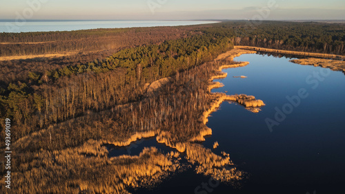 Drone view of the Ptasi Raj reserve in Gdańsk, Sobieszewo, Poland.