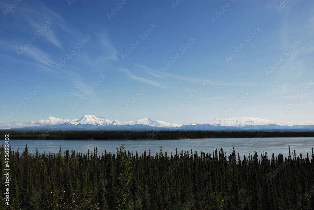 Alaska- Panoramic Landscape of Distant Snow Covered Mountains With Forest and Lake