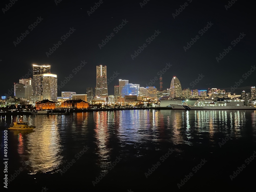 Fototapeta premium city skyline at night