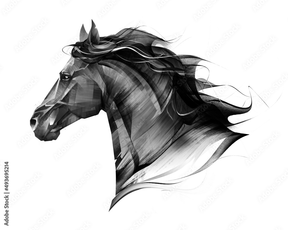 Fototapeta hand drawn portrait of animal horse isolated on white background