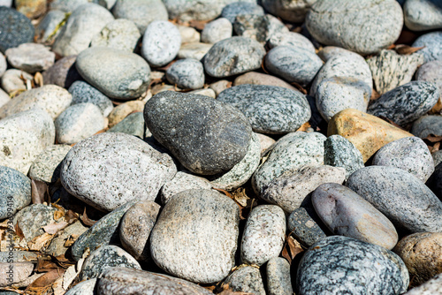 Multicolored pebbles on a beach, smooth, patterned, textured and abstract. Close-up background.