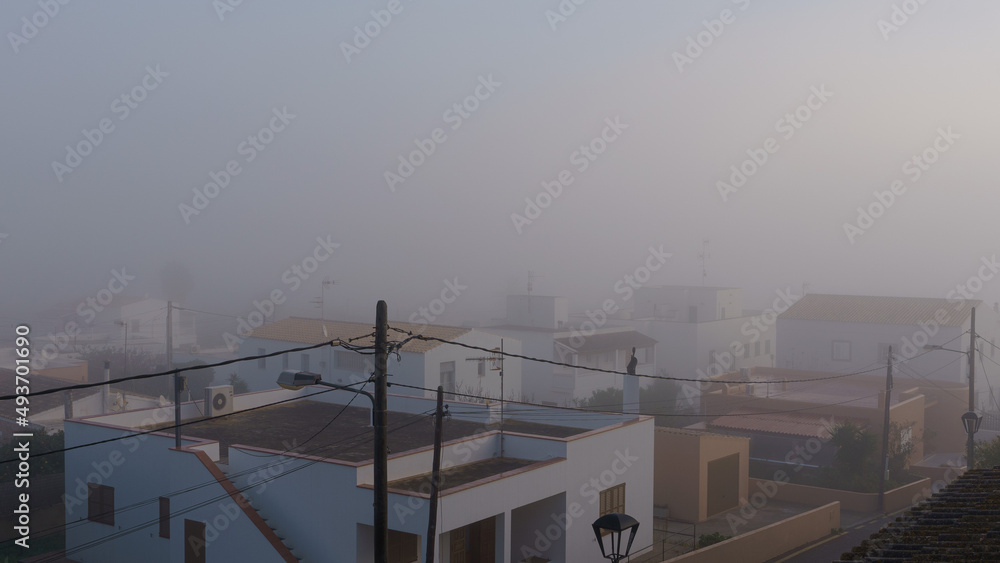 abundant fog between houses