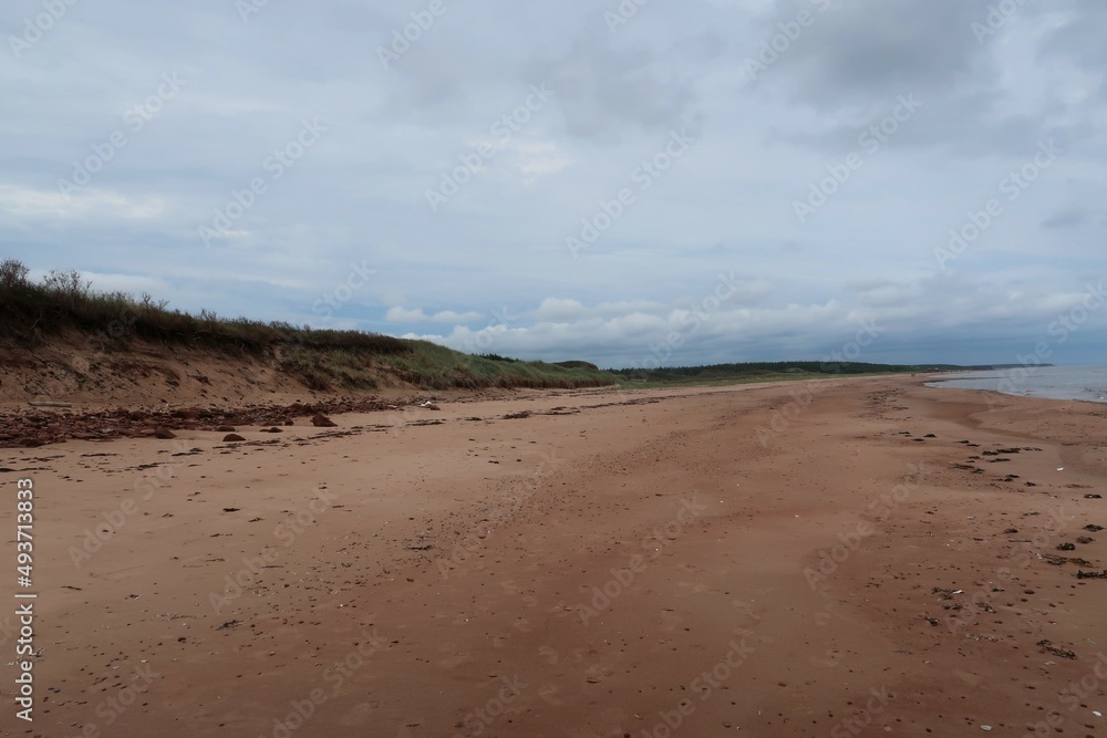 sand dunes on the beach sand dunes on the beach