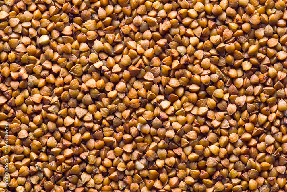 dry buckwheat abstract background. fresh buckwheat. texture dry buckwheat abstract background. fresh buckwheat. texture